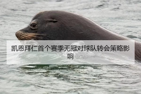 凯恩拜仁首个赛季无冠对球队转会策略影响