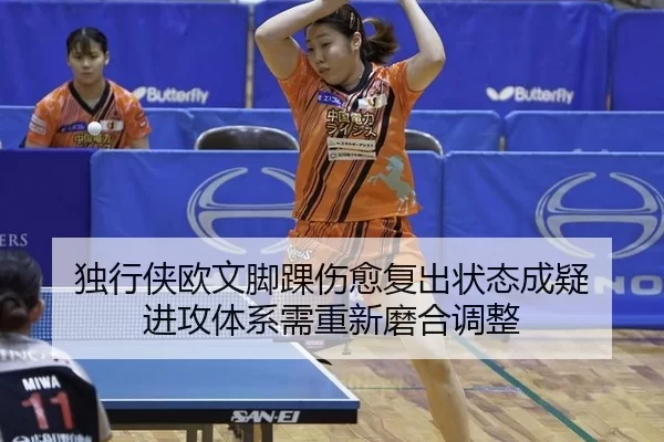 du-xing-xia-ou-wen-jiao-huai-shang-yu-fu-chu-zhuang-tai-cheng-yi-jin-gong-ti-xi-xu-chong-xin-mo-he-tiao-zheng-2-714.jpg