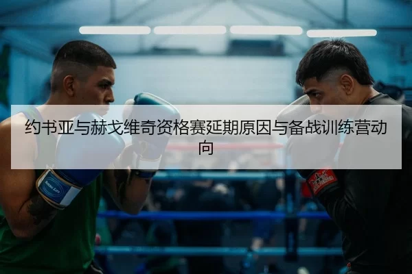 约书亚与赫戈维奇资格赛延期原因与备战训练营动向